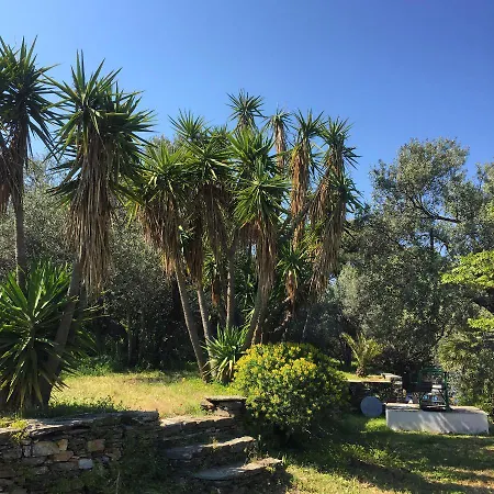 Andromeda Hotel Exámbela