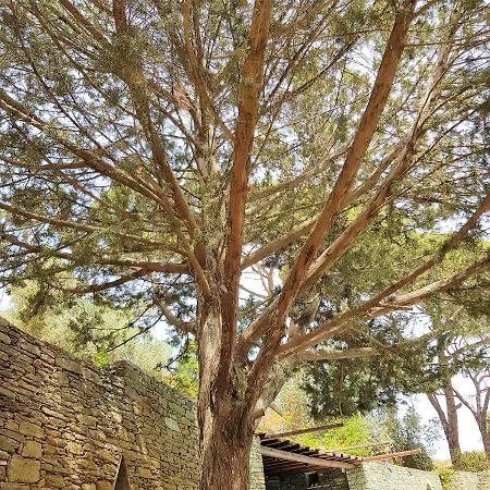 Andromeda Ξενοδοχείο 4*