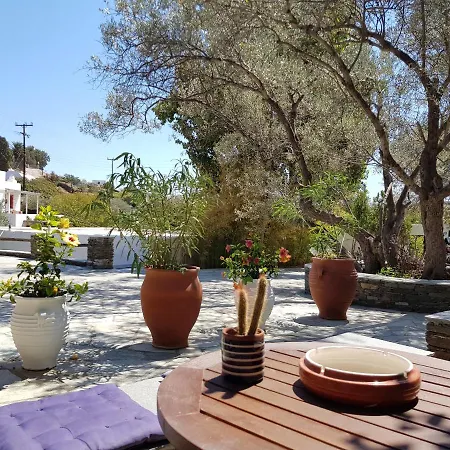 Andromeda 4* Εξάμπελα