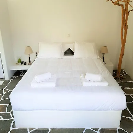 Hotel Andromeda 4*