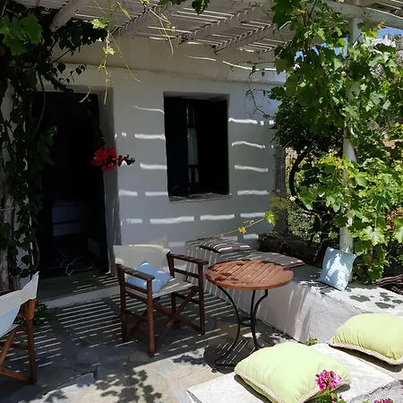 Andromeda 4* Εξάμπελα