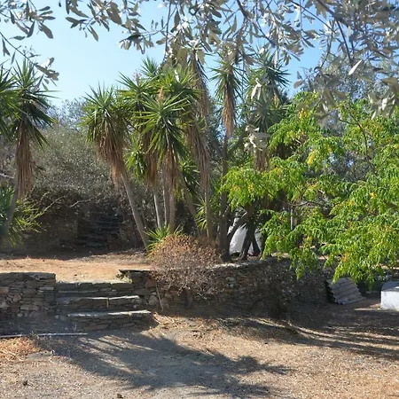 Andromeda 4* Εξάμπελα