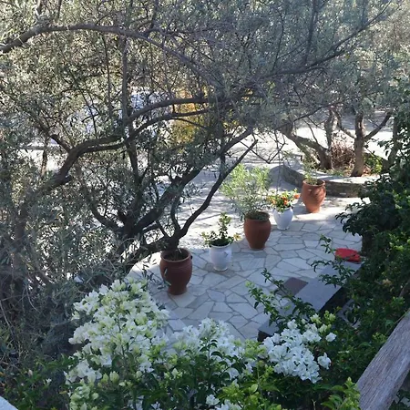 Andromeda Ξενοδοχείο 4*