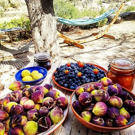 Andromeda Ξενοδοχείο