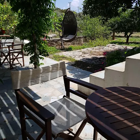 Andromeda Hotel 4*