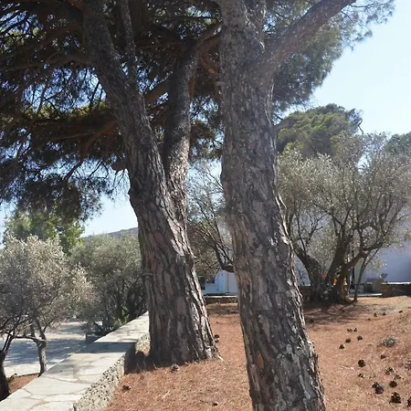 Ξενοδοχείο Andromeda