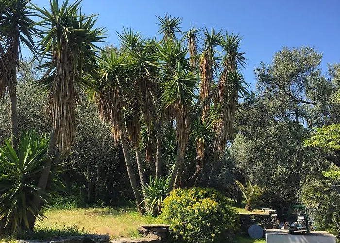 Andromeda Hotell Exámbela