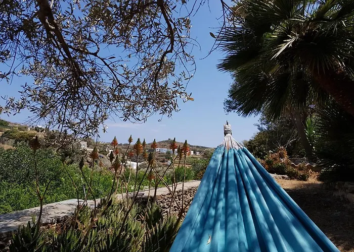 Andromeda 4* Exámbela